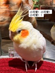 -Zoolung Zoolung动物主题公园(海信广场店)