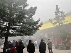 -普陀山风景区-佛顶山