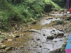-南海湾森林生态园