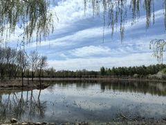 -东郊湿地公园