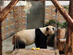 -青岛动物园