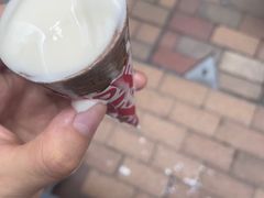 -富豪雪糕车流动点(尖沙咀店)