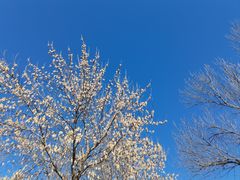 -北京麋鹿生态实验中心