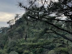 -缙云山景区