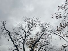 -中国宣纸文化园
