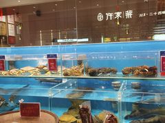 -许家菜(DT51店)