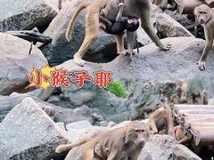 -广州长隆野生动物世界