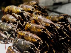 波士顿龙虾-解放碑威斯汀酒店-知味国际美食餐厅