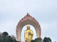 -庐山风景名胜区-东林大佛