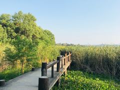 -东湖落雁景区