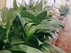 -巴音浩日娲·蒙餐(双林东路店)