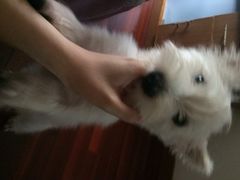 盛京一禾-盛京一禾