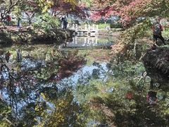 -秋霞圃