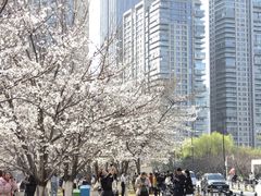 -西北湖绿化广场