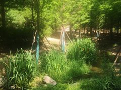 -白水寺森林公园