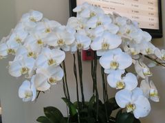 -天目湖御水温泉·度假酒店