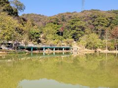 -桃园美食(水库路店)