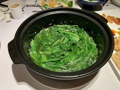 油麦菜-八分饱·西津会(西津渡店)