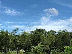 -藏龙百瀑漂流