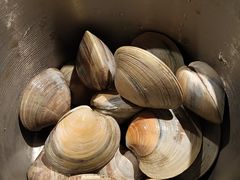 -星伦多自助料理(爱琴海店)