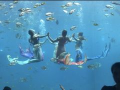 -瑞德姆美人鱼海底演艺主题餐厅(亚龙湾店)
