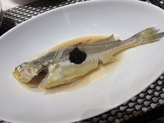 榄角酱蒸中黄鱼-广舟(千禧店)