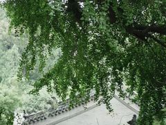 -潭柘寺景区