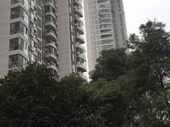 -新湖明珠城