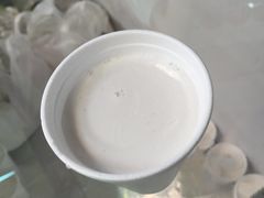 -洪馨椰子