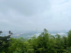-紫金山天文台