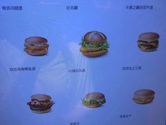 -麦当劳(田林好又多店)