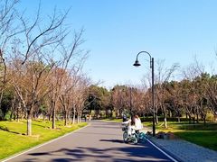 -东湖落雁景区