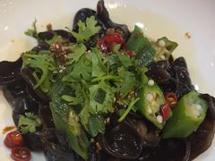 爽口木耳-晋家门(弘阳广场店)