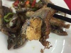 -蛇口康乐快餐鱼仔档(翠苑小区店)