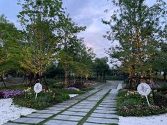 -春花秋色城市公园