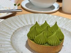 抹茶挞-猫里有甜
