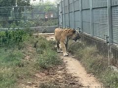 -东莞香市动物园
