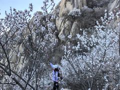 -北京凤凰岭