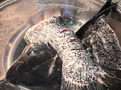 -好灶头妈妈菜·柴火灶台鱼·千岛湖土菜地标美食