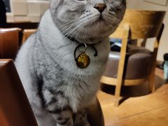 -H立方实景剧情密室(天河旗舰店)