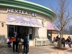 -喜茶(迪士尼小镇DP店)