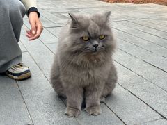 -Emily's cafe(南海意库店)