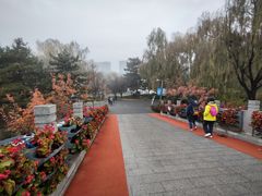 -大兴滨河森林公园