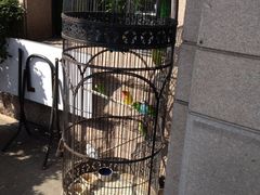 iphone_upload_pic-老味道民宿(栈桥店)