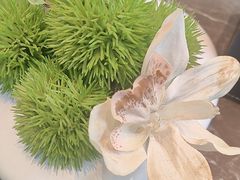 -吕氏焗小鲜•海鲜青岛菜(总店)