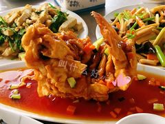 -青龙潭鱼庄