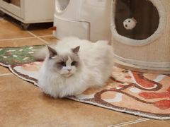 -柏斯音乐艺术中心·钢琴·吉他(上音店)