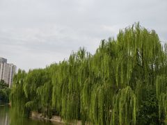 -南翠屏公园