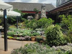 -山菌美食苑(振兴路店)