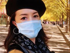 -三里屯东五街银杏大道